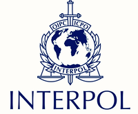 Interpol Jobs